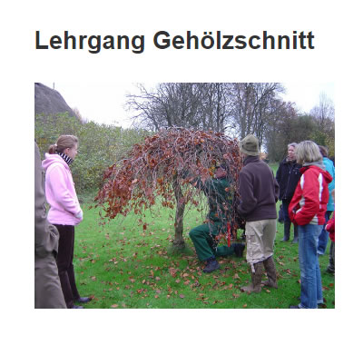 Baum_Schadensfaelle in  Gnarrenburg