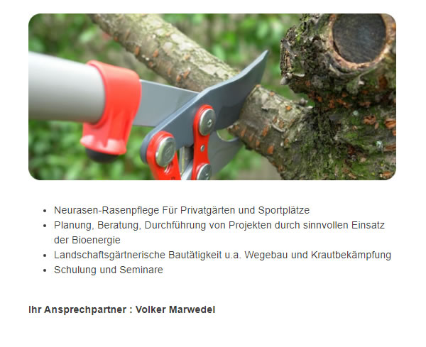 Baumkontrolle in  Kutenholz