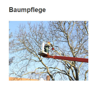 Baumsachverstaendiger für  Lübberstedt